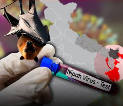 निपाह भाइरसको जोखिम : नेपाल उच्च सतर्कतामा, भारतमा पुष्टि भएका घटनापछि मन्त्रालयको निर्देशन