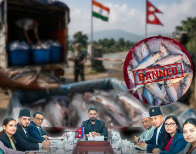 भारतबाट अवैध माछा आयात रोक्न सरकारले कडाइ